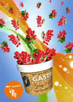 Табак D-Gastro (табак 140 г + сироп 360 г) Барбарис 500 г