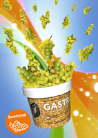 Табак D-Gastro (табак 140 г + сироп 360 г) Виноград 500 г