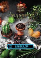 Табак ELEMENT 100 г Вода Cactus Fig (Кактусовый Финик)