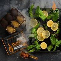 Табак BURN 100 г Lemon Mint (Лимон с Мятой)