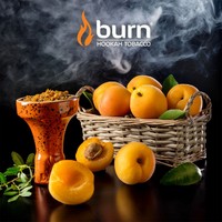 Табак BURN 100 г Juicy Apricot (Сочный Абрикос)