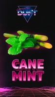 Табак DUFT 100 г Cane Mint (Тростниковая Мята)