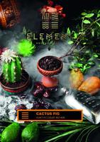 Табак ELEMENT 40 г Земля Cactus Fig (Кактусовый Финик)