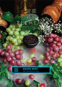 Купить Табак ELEMENT 40 г Вода Grape Mint (Виноград Мята)