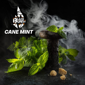 Купить Табак BLACK BURN 25 г Cane Mint (Тростниковая Мята)