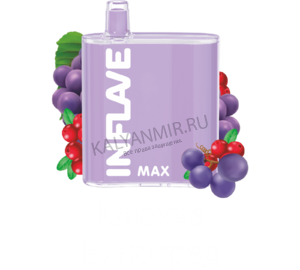 Купить Электронные сигарета INFLAVE Max 4000 Клюква Виноград